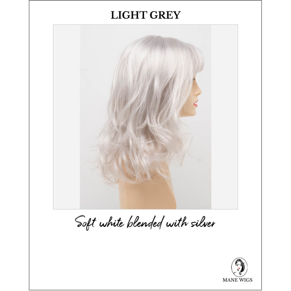 Harmony by Envy in Light Grey-Soft white blended with silver