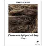 Load image into Gallery viewer, Harvest Rich-Medium brown highlighted with honey blonde
