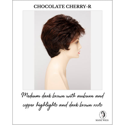 Heather By Envy in Chocolate Cherry-R-Medium dark brown with auburn and copper highlights and dark brown roots