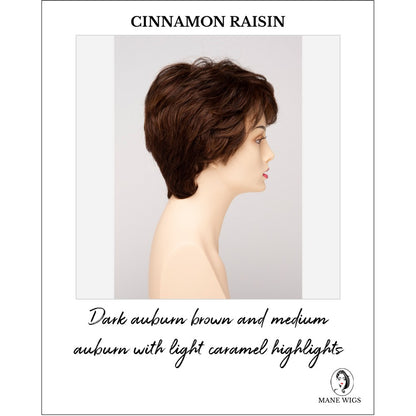 Heather By Envy in Cinnamon Raisin-Dark auburn brown and medium auburn with light caramel highlights