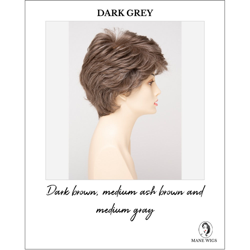 Heather By Envy in Dark Grey-Dark brown, medium ash brown and medium gray