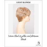 Load image into Gallery viewer, Heather By Envy in Light Blonde-Warm blend of golden and platinum blonde
