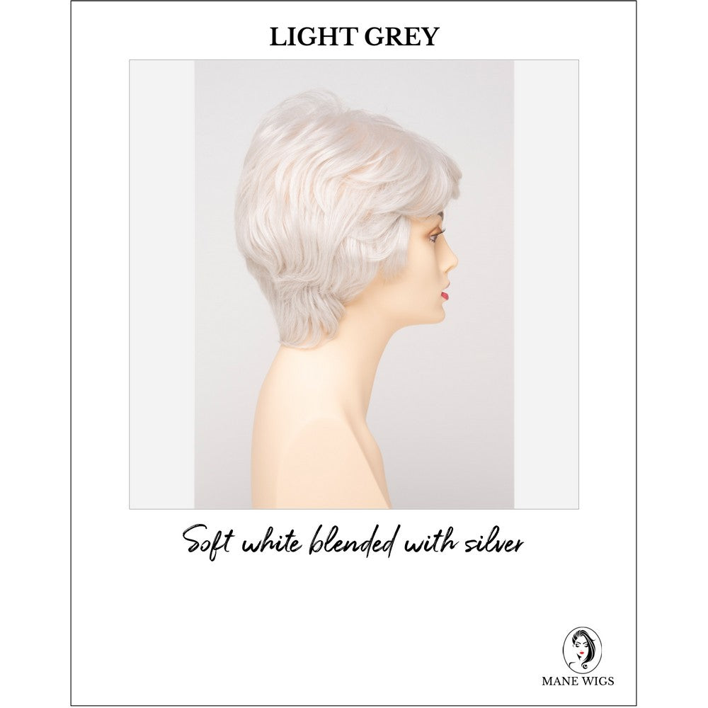 Heather By Envy in Light Grey-Soft white blended with silver