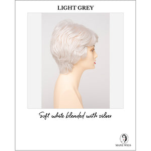 Heather By Envy in Light Grey-Soft white blended with silver