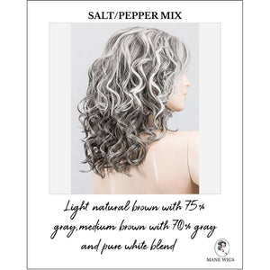 Heaven by Ellen Wille in Salt/Pepper Mix-Light natural brown with 75% gray,medium brown with 70% gray and pure white blend