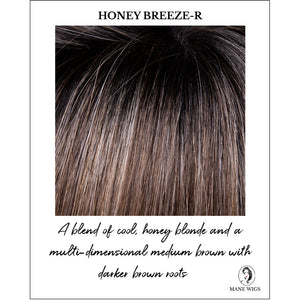 Honey Breeze-R-A blend of cool, honey blonde and a multi-dimensional medium brown with darker brown roots