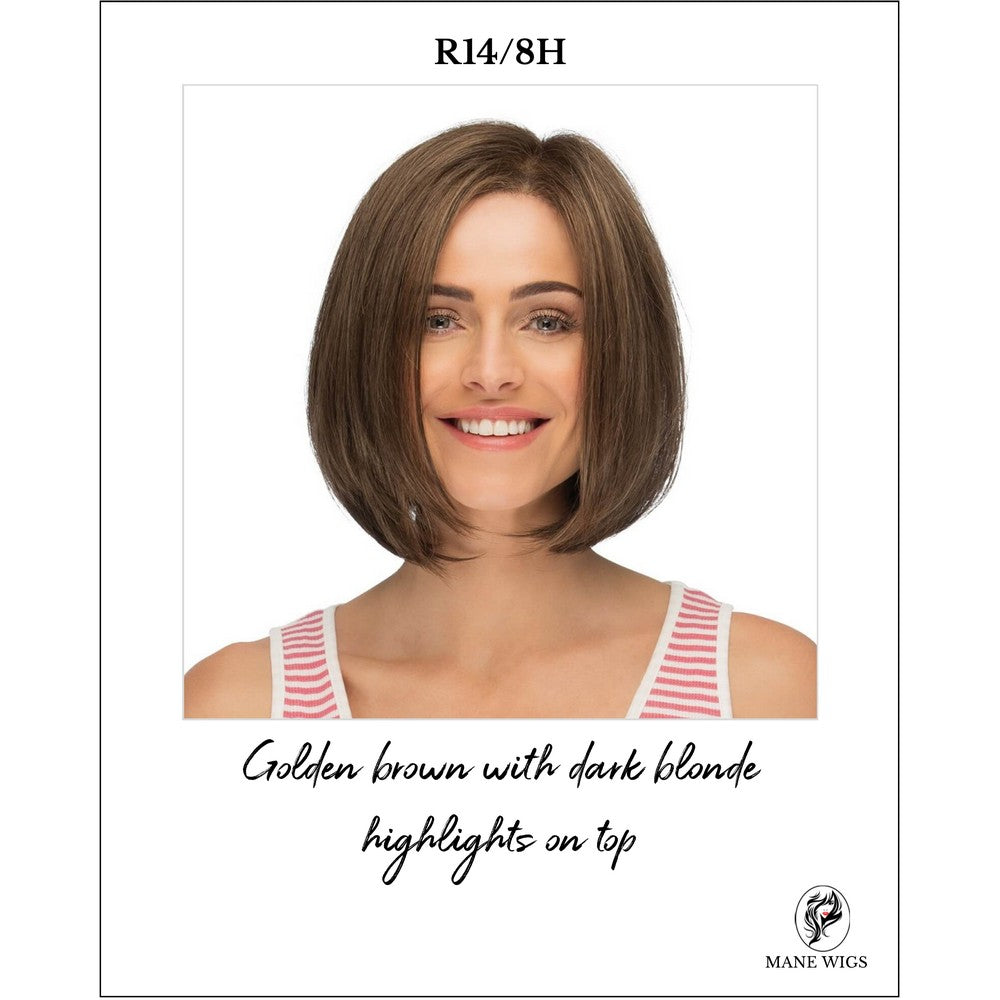 R14/8H-Golden brown with dark blonde highlights on top