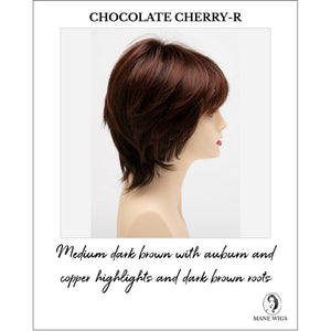 Jane by Envy in Chocolate Cherry-R-Medium dark brown with auburn and copper highlights and dark brown roots