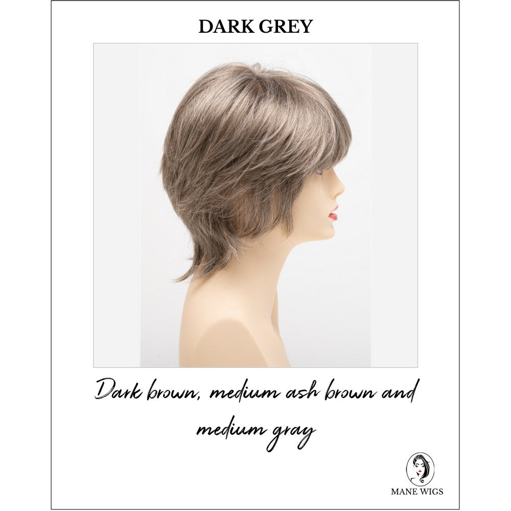 Jane by Envy in Dark Grey-Dark brown, medium ash brown and medium gray
