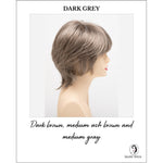 Load image into Gallery viewer, Jane by Envy in Dark Grey-Dark brown, medium ash brown and medium gray
