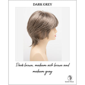 Jane by Envy in Dark Grey-Dark brown, medium ash brown and medium gray
