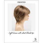 Load image into Gallery viewer, Jane by Envy in Frosted-Light brown with wheat blonde tips

