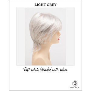 Jane by Envy in Light Grey-Soft white blended with silver