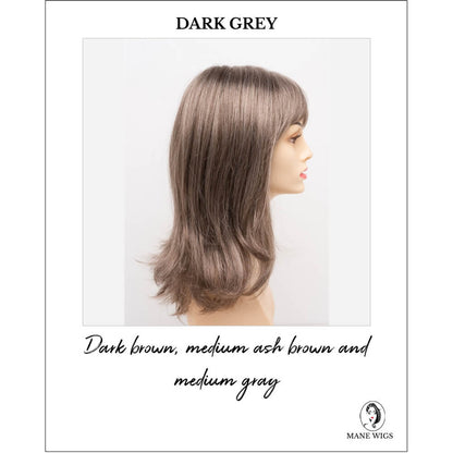 Jolie by Envy in Dark Grey-Dark brown, medium ash brown and medium gray