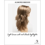 Load image into Gallery viewer, Joy by Envy in Almond Breeze-Light brown with ash blonde highlights
