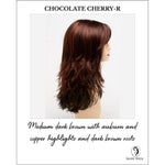 Load image into Gallery viewer, Joy by Envy in Chocolate Cherry-R-Medium dark brown with auburn and copper highlights and dark brown roots
