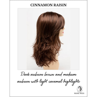 Joy by Envy in Cinnamon Raisin-Dark auburn brown and medium auburn with light caramel highlights