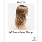 Load image into Gallery viewer, Joy by Envy in Frosted-Light brown with wheat blonde tips
