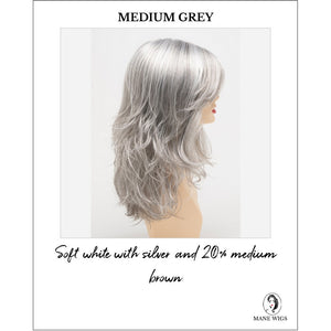 Joy by Envy in Medium Grey-Soft white with silver and 20% medium brown