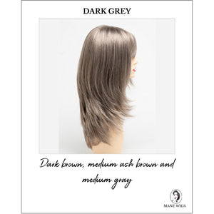 Kate by Envy in Dark Grey-Dark brown, medium ash brown and medium gray