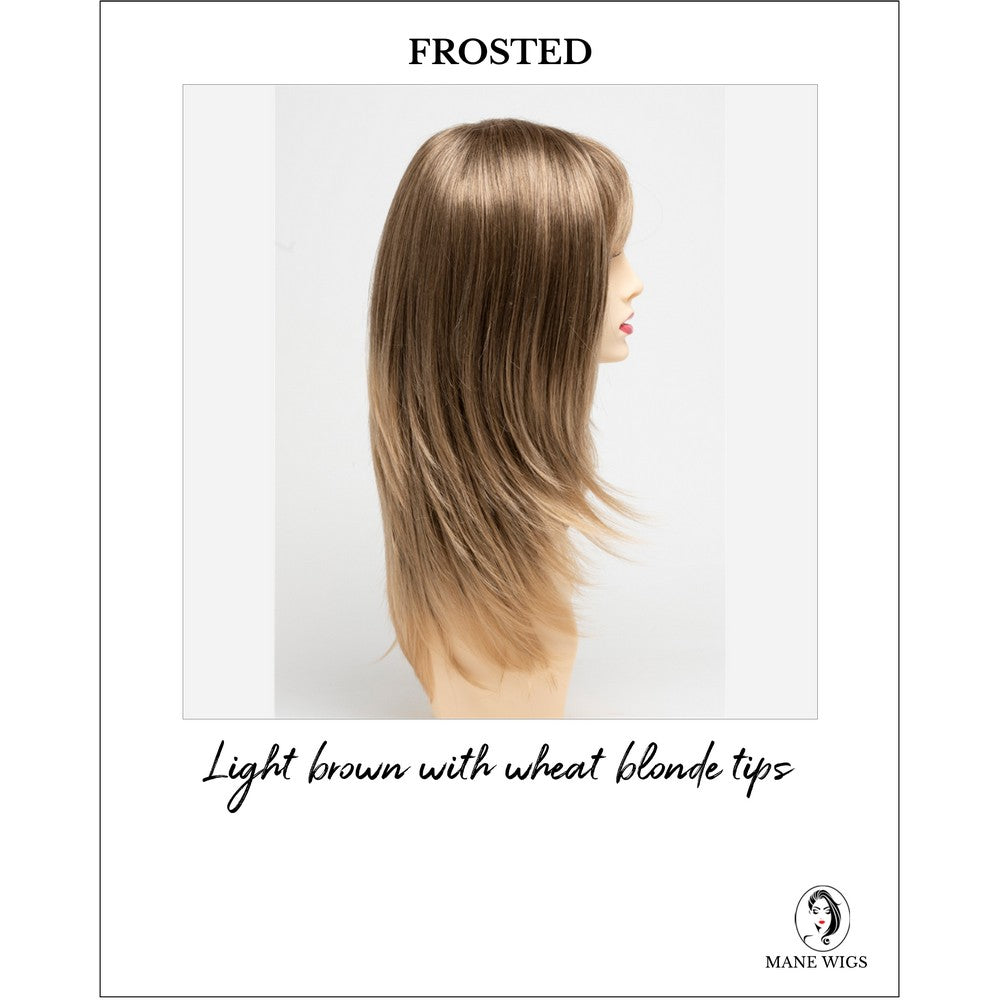 Kate by Envy in Frosted-Light brown with wheat blonde tips