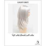 Load image into Gallery viewer, Kate by Envy in Light Grey-Soft white blended with silver
