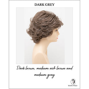 Kylie By Envy in Dark Grey-Dark brown, medium ash brown and medium gray