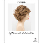 Load image into Gallery viewer, Kylie By Envy in Frosted-Light brown with wheat blonde tips
