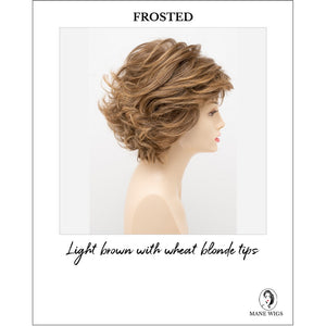 Kylie By Envy in Frosted-Light brown with wheat blonde tips