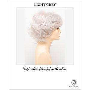 Kylie By Envy in Light Grey-Soft white blended with silver