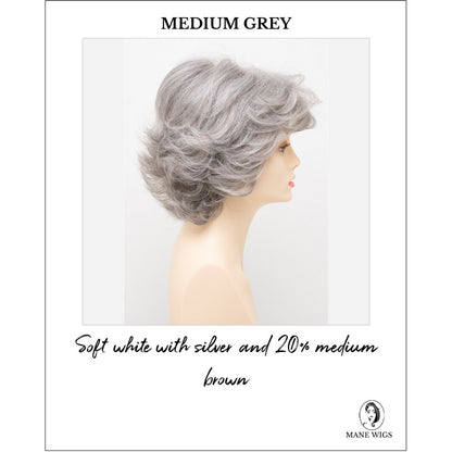 Kylie By Envy in Medium Grey-Soft white with silver and 20% medium brown