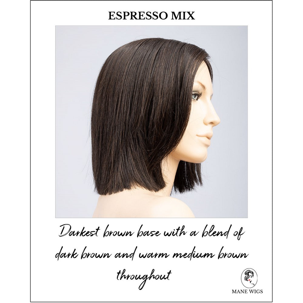 Lia II by Ellen Wille  in Espresso Mix-Darkest brown base with a blend of dark brown and warm medium brown throughout 