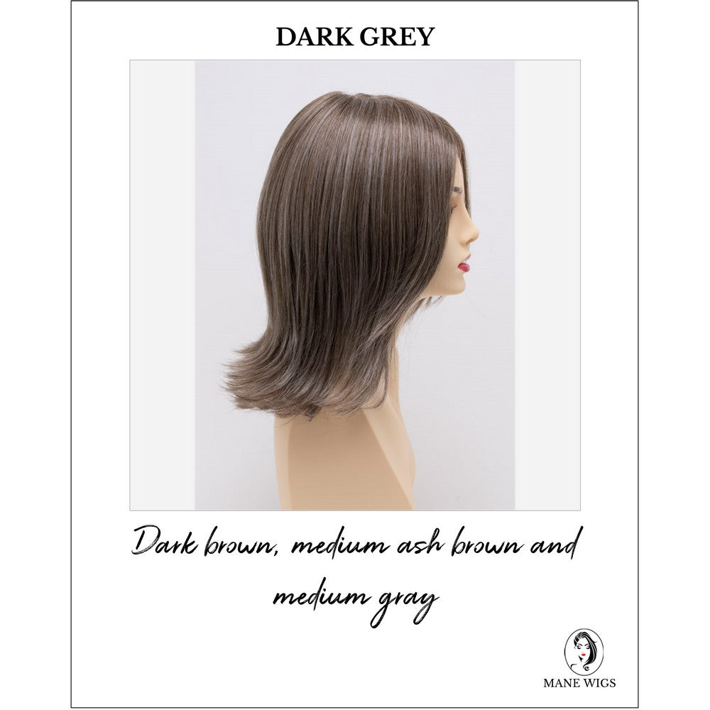 Lisa wig by Envy in Dark Grey-Dark brown, medium ash brown and medium gray