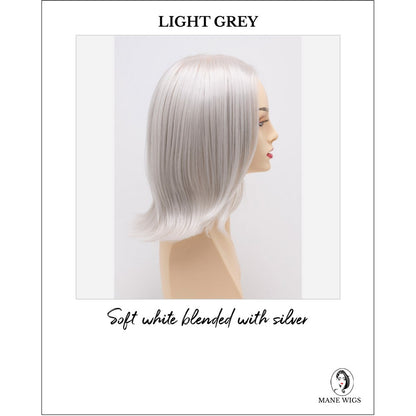Lisa wig by Envy in Light Grey-Soft white blended with silver
