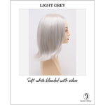 Load image into Gallery viewer, Lisa wig by Envy in Light Grey-Soft white blended with silver
