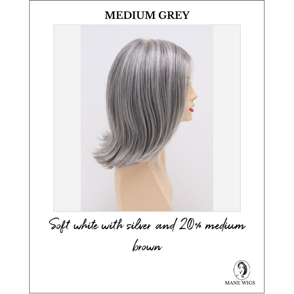 Lisa wig by Envy in Medium Grey-Soft white with silver and 20% medium brown