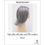 Load image into Gallery viewer, Lisa wig by Envy in Medium Grey-Soft white with silver and 20% medium brown
