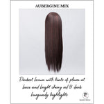 Load image into Gallery viewer, Look by Ellen Wille in Aubergine Mix-Darkest brown with hints of plum at base and bright cherry red &amp; dark burgundy highlights
