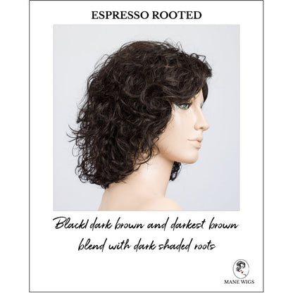 Loop in Espresso Rooted-Black/dark brown and darkest brown blend with dark shaded roots