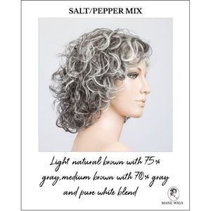 Loop in Salt/Pepper Mix-Light natural brown with 75% gray,medium brown with 70% gray and pure white blend