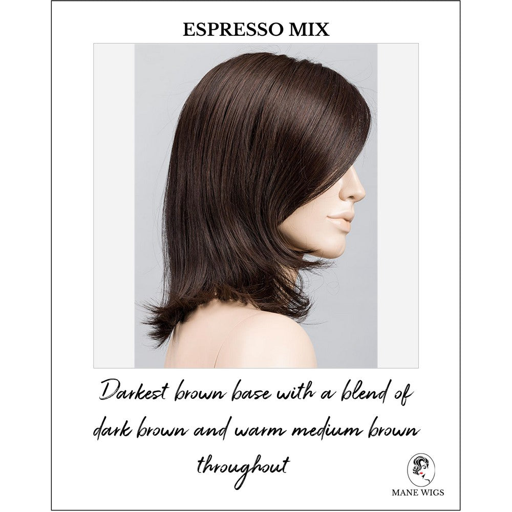 Melody by Ellen Wille in Espresso Mix-Darkest brown base with a blend of dark brown and warm medium brown throughout 