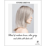 Load image into Gallery viewer, Melody by Ellen Wille in Stone Grey-R-Blend of medium brown, silver gray, and white with dark roots

