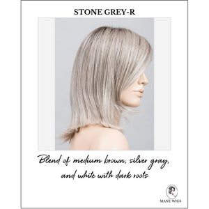 Melody by Ellen Wille in Stone Grey-R-Blend of medium brown, silver gray, and white with dark roots