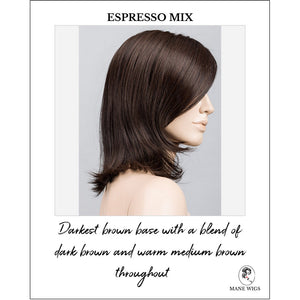 Melody Large by Ellen Wille in Espresso Mix-Darkest brown base with a blend of dark brown and warm medium brown throughout 