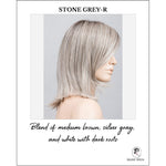 Load image into Gallery viewer, Melody Large by Ellen Wille in Stone Grey-R-Blend of medium brown, silver gray, and white with dark roots

