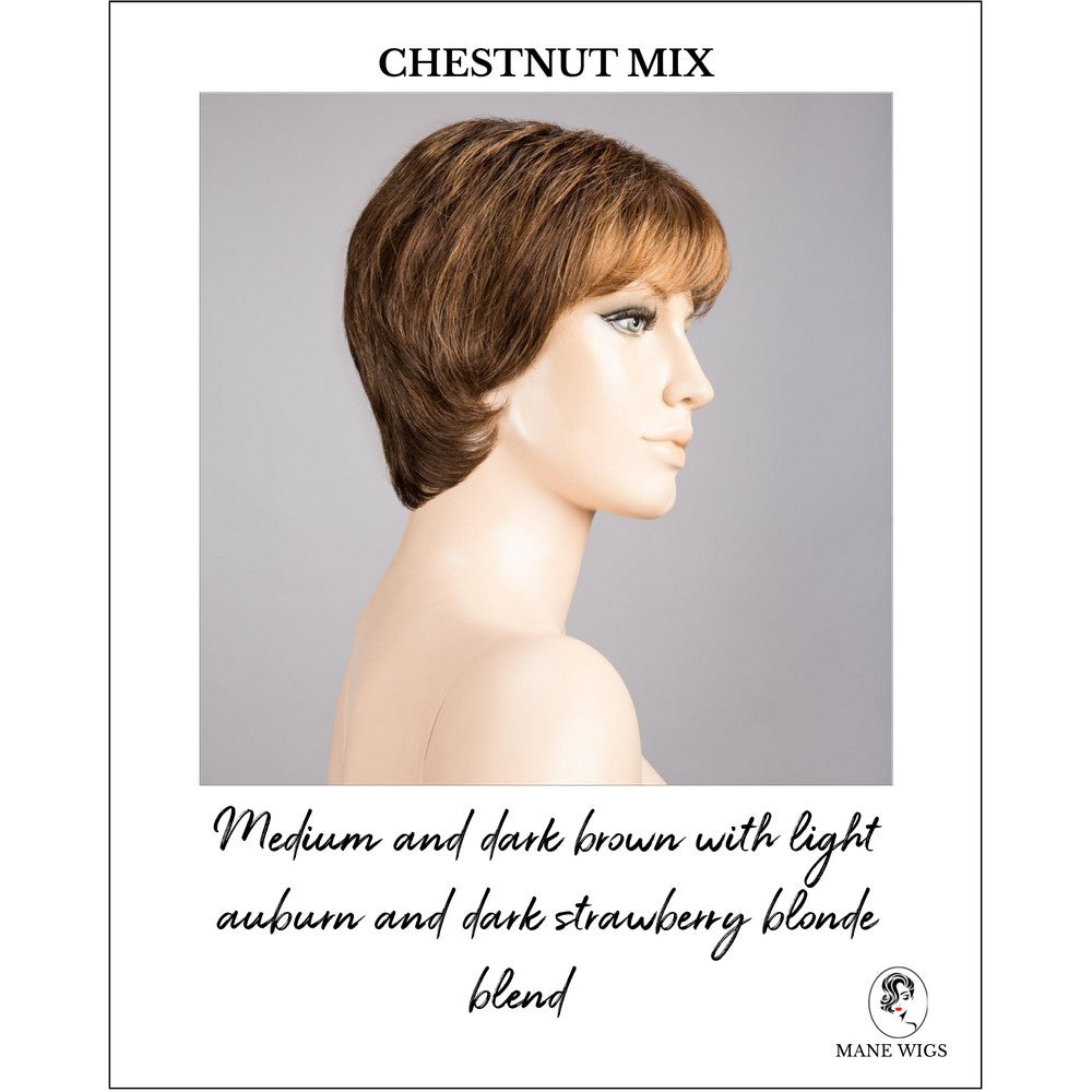 Napoli Soft by Ellen Wille in Chestnut Mix-Medium and dark brown with light auburn and dark strawberry blonde blend
