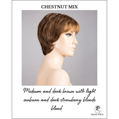 Napoli Soft by Ellen Wille in Chestnut Mix-Medium and dark brown with light auburn and dark strawberry blonde blend