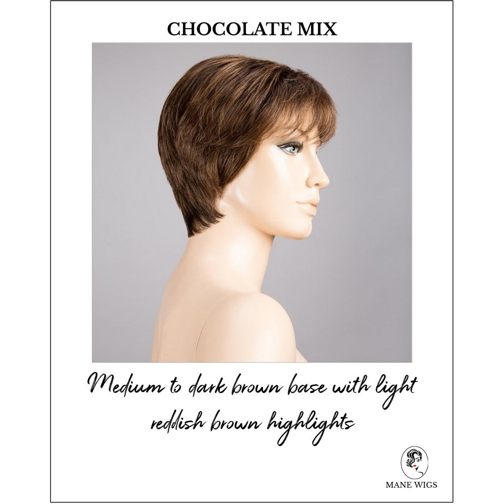 Napoli Soft by Ellen Wille in Chocolate Mix-Medium to dark brown base with light reddish brown highlights