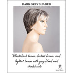 Load image into Gallery viewer, Napoli Soft by Ellen Wille in Dark Grey Shaded-Black/bark brown, darkest brown, and lightest brown with grey blend and shaded roots
