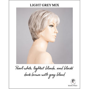 Napoli Soft by Ellen Wille in Light Grey Mix-Pearl white, lightest blonde, and black/dark brown with grey blend